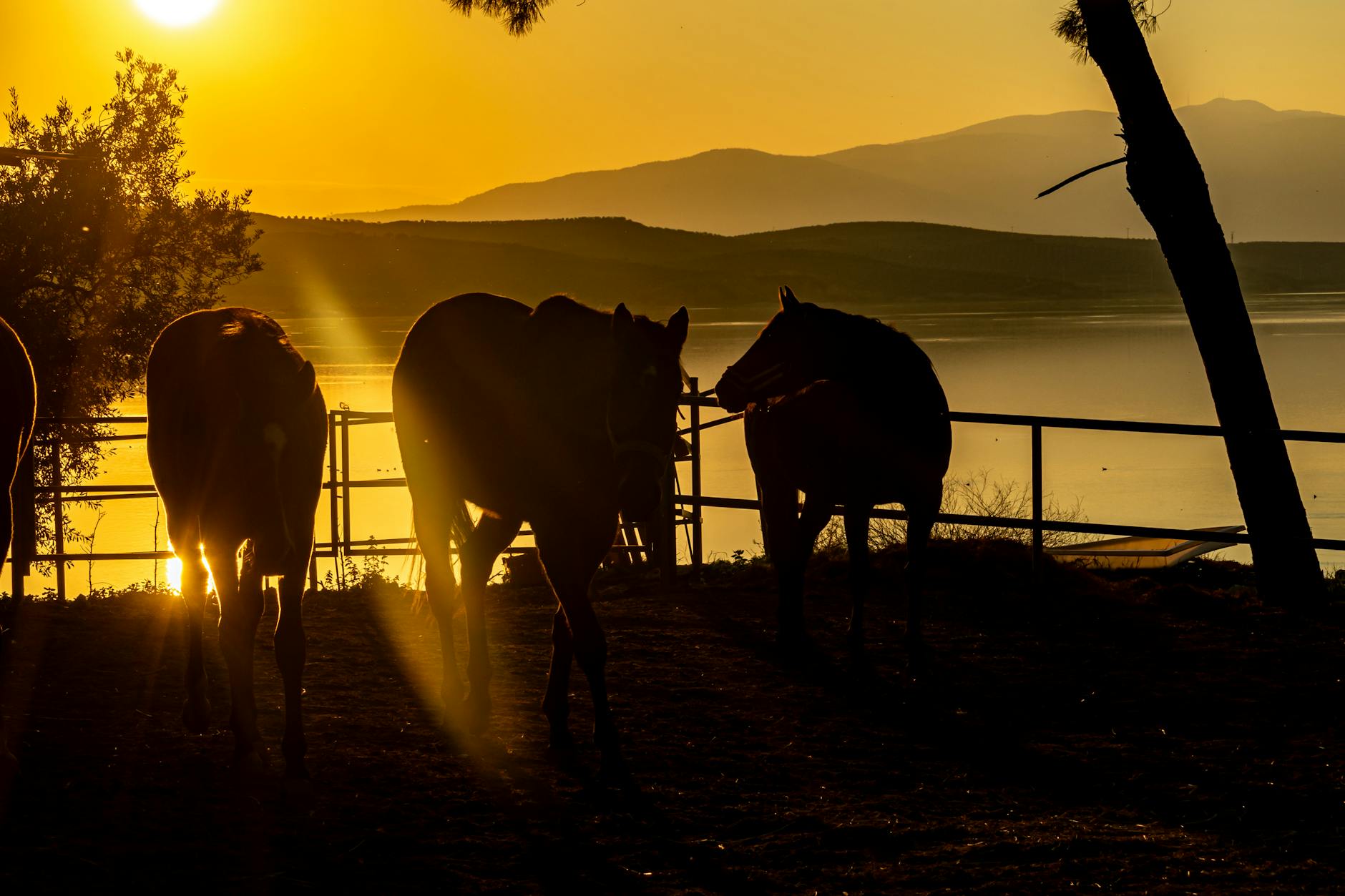 Manisa Lake