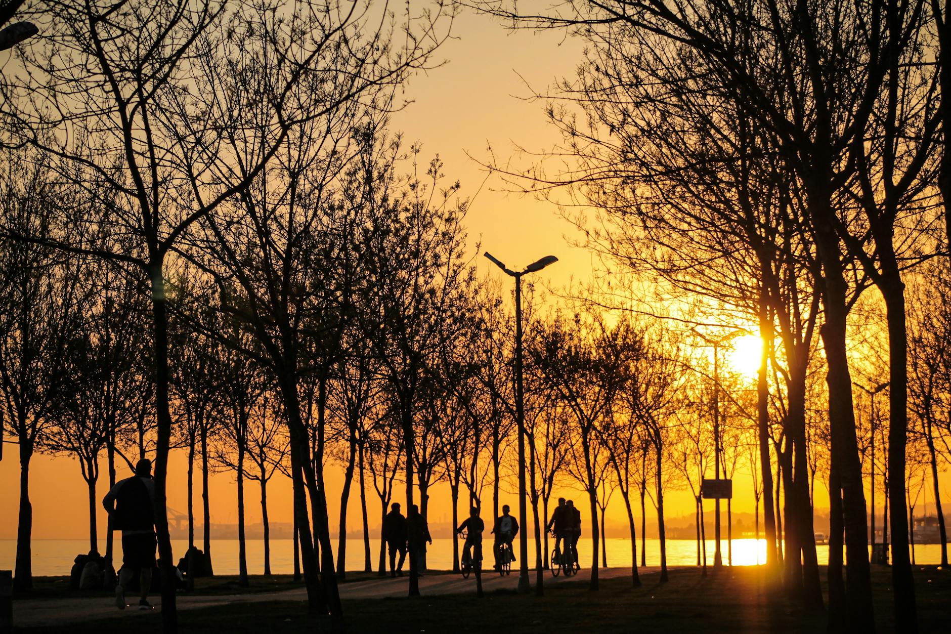 Kocaeli Nature Park