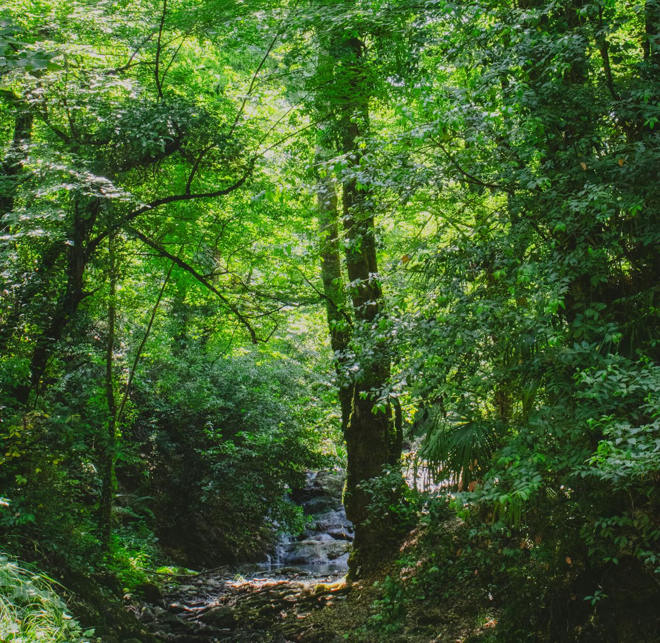Yalova Waterfall