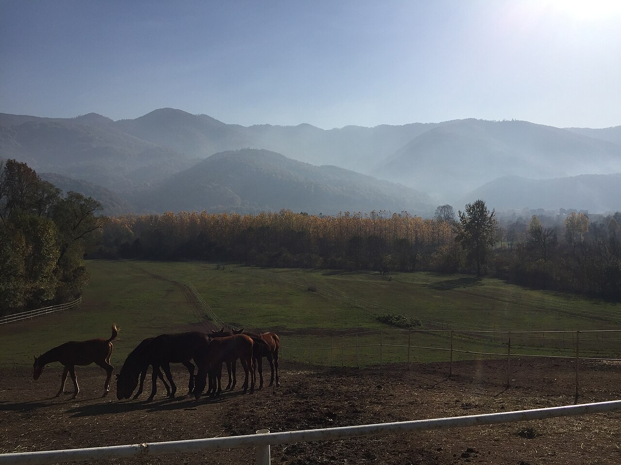 Düzce Tarihi Kent Merkezi