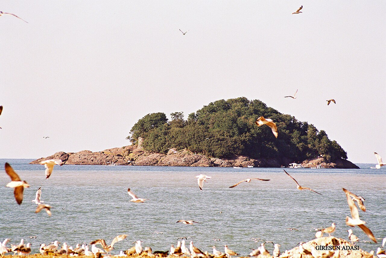 Giresun Kalesi ve Tarihi Çevresi